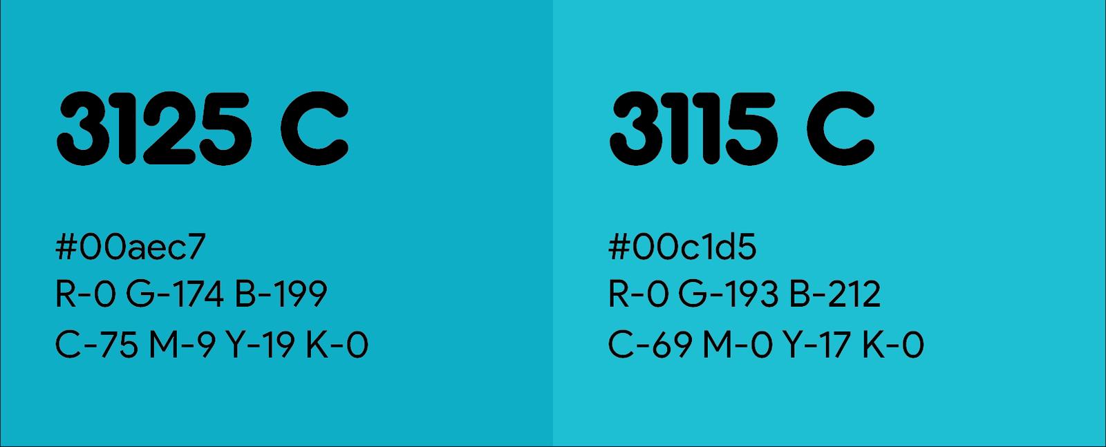 TYPOGRAPHY STUDY