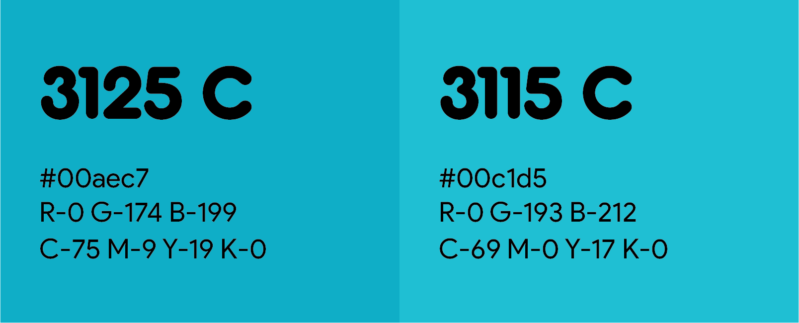 TYPOGRAPHY STUDY